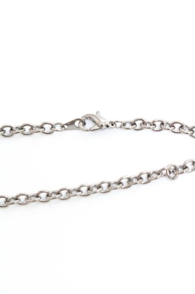 画像4: 【新品アウトレット】   ライオンストーンネックレス /0/表記なし T-21-11-02-005l-1-ac-SI-m-NA-ZT-B500 (4)