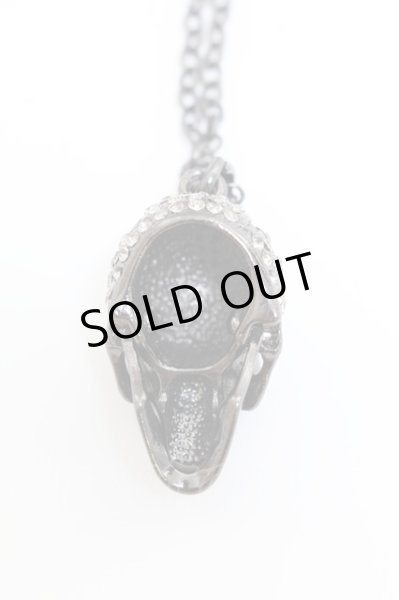 画像3: 【新品アウトレット】   スカルビッグネックレス /0/表記なし T-21-11-02-011l-1-ac-SI-m-NA-ZT-B500 (3)