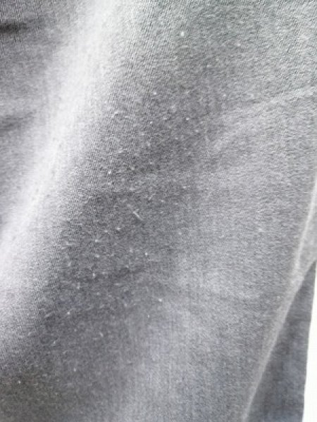 画像4: HARE パンツ.トラウザー /グレー/S S-21-12-20-1041-HA-pa-KN-ZT219 (4)