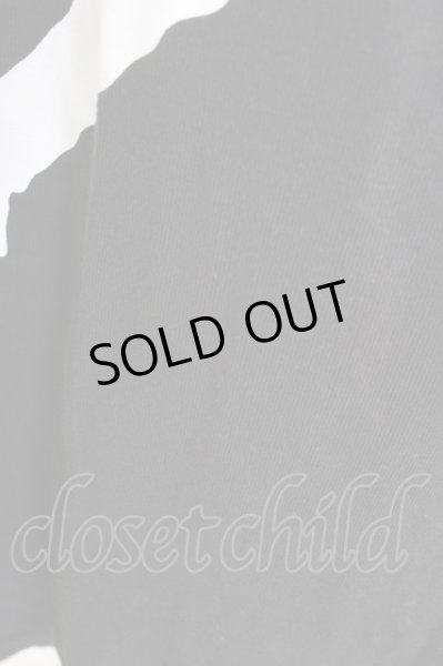 画像3: R指定 Tシャツ.バンド /ブラック/- T-22-06-24-011-RS-ts-KN-ZT300 (3)