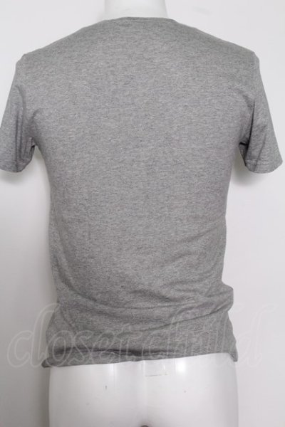 画像4: 【SALE】TORNADO MART Tシャツ.フォギー天竺(フロッキーローズプリント) /グレー/M O-22-08-31-060-TO-ts-YM-ZT352