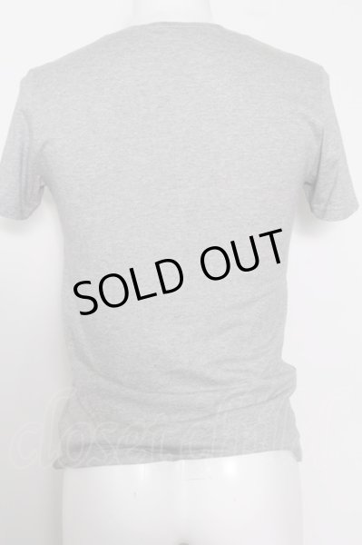 画像4: TORNADO MART Tシャツ.フォギー天竺(フロッキーローズプリント) /グレー/M O-22-08-31-060-TO-ts-YM-ZT352 (4)