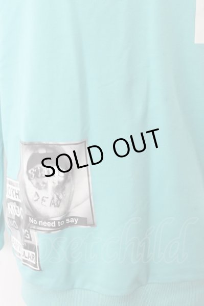 画像3: GALLIS ADDICTION カットソー.ランダムフォトプルオーバー /ミント/3 O-22-10-24-071-ET-to-YM-ZT090 (3)