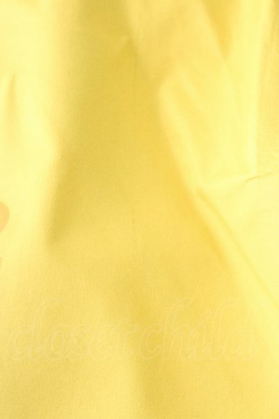 画像11: #FR2 コート.Three Layer Hooded /イエロー/表記なし T-23-01-13-009-FR-ja-KN-ZT116 (11)