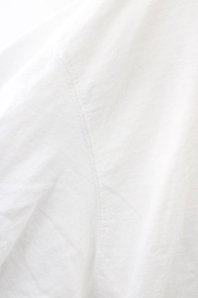 画像5: GALLIS ADDICTION Tシャツ.Championコラボ バックペイント T-23-03-15-002-GA-ts-YM-ZT211 (5)