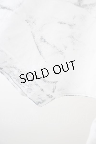 画像4: Acryl BONES Tシャツ.スカルプリントBIG T-23-03-15-001-AC-ts-YM-ZT211 (4)