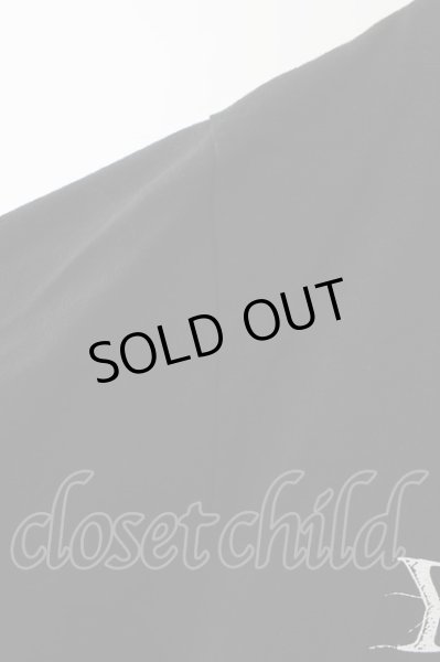 画像4: GALLIS ADDICTION Tシャツ.GAプリント T-23-03-15-008-GA-ts-YM-ZT376 (4)