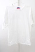 【WINTERセール】GALLIS ADDICTION Tシャツ.Championコラボ バックペイント T-23-03-15-002-GA-ts-YM-ZT211