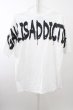 画像2: GALLIS ADDICTION Tシャツ.Championコラボ バックペイント T-23-03-15-002-GA-ts-YM-ZT211 (2)