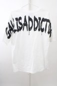 画像2: 【SALE】GALLIS ADDICTION Tシャツ.Championコラボ バックペイント T-23-03-15-002-GA-ts-YM-ZT537 (2)