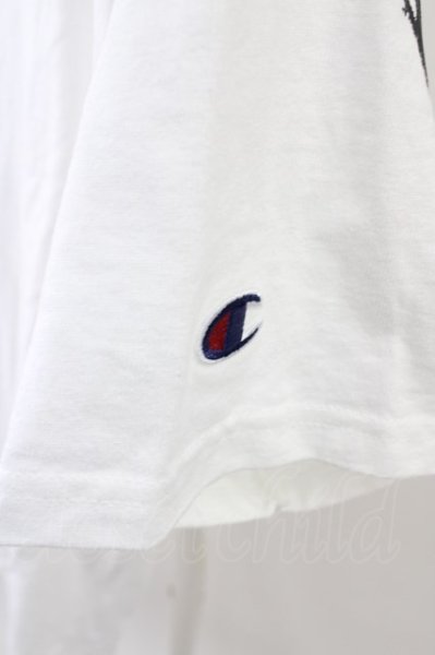 画像3: GALLIS ADDICTION Tシャツ.Championコラボ バックペイント T-23-03-15-002-GA-ts-YM-ZT211 (3)