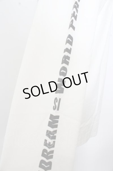 画像2: GOSTAR DE FUGA Tシャツ.フォトプリントビッグ /ホワイト/46 O-23-04-06-015-GO-ts-IG-ZT434 (2)