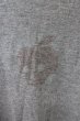 画像6: maxsix Tシャツ.アップルポイズン T-23-04-12-020-ma-ts-YM-ZT177 (6)