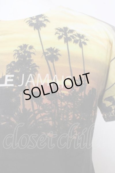 画像2: GOSTAR DE FUGA Tシャツ.Prova 全面フォトプリント /パターン/46 O-23-04-25-014-GO-ts-YM-ZT099 (2)