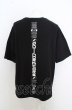 画像4: AGEM/9 Tシャツ.ライジングプリント /ブラック/F O-23-08-09-041-AG-ts-YM-ZT425 (4)