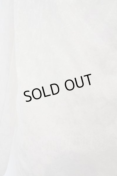 画像2: TORNADO MART / アニマルドレープカットソー’17AW O-23-12-21-007-TO-to-YM-ZT437 (2)