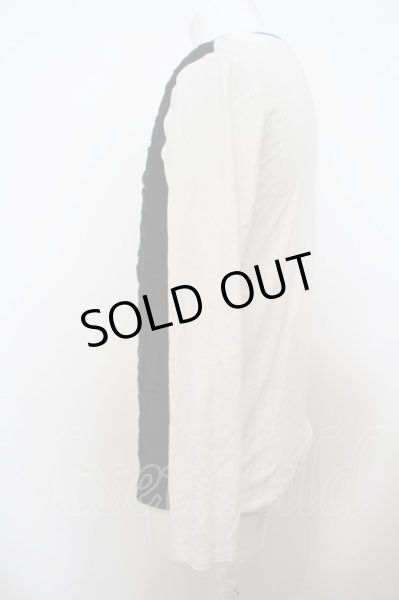 画像2: TORNADO MART / ゼブラニット切替カットソー O-24-01-03-015-TO-to-YM-ZT035 (2)