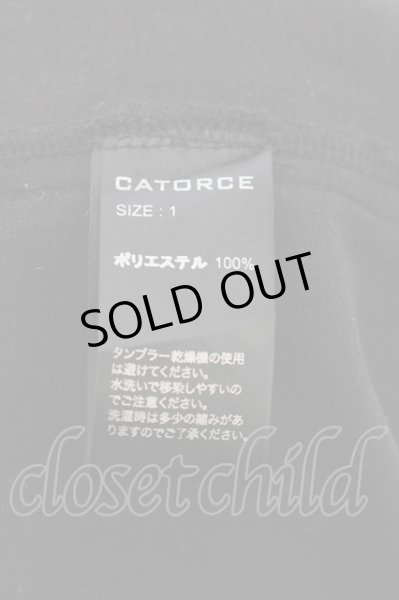 画像3: CATORCE（14th Addiction） / ROYALFLASH別注　PT VERDE　カーゴパンツ 1 ブラック O-24-05-16-033-CA-pa-YM-OS (3)