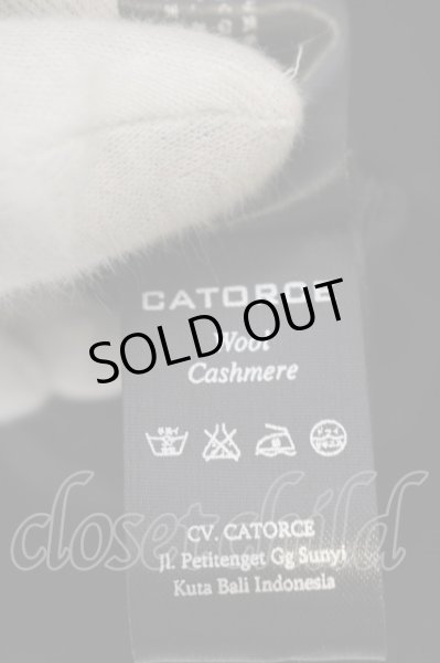 画像6: CATORCE（14th Addiction） / ROYALFLASH別注LEATHER VEST　レザーベスト F ユニセックス O-24-06-08-025-CA-to-YM-OS (6)