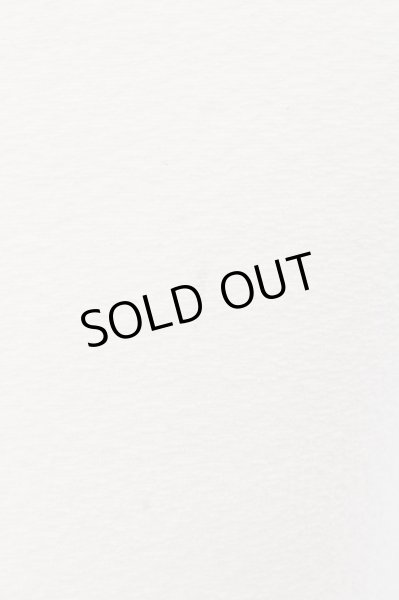 画像2: CIVARIZE / パイルニットTシャツ 44 ホワイト O-24-06-15-071-CI-ts-YM-ZT274 (2)