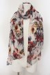 画像1: CIVARIZE / Hang シースルーストール  ホワイトｘレッド O-24-06-27-143-CI-za-YM-OS (1)