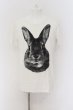 画像1: CIVARIZE / LunaラビットプリントBIG Tシャツ 44 ホワイト O-24-07-31-054-CI-ts-YM-OS (1)