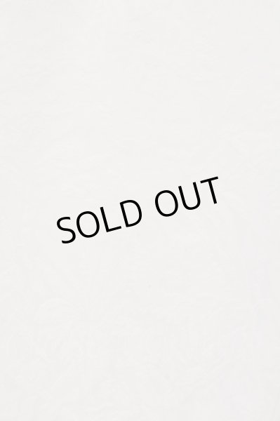 画像2: TORNADO MART / ボタニカルジャカードイージーパンツ L ホワイト O-24-09-02-091-TO-pa-YM-ZT424 (2)