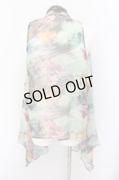 画像2: CIVARIZE / ノースリーブシフォンカーディガン  グリーン O-24-10-17-001-CI-to-YM-ZT435 (2)