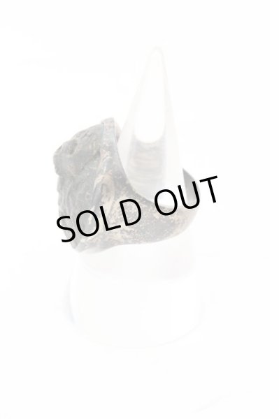 画像2: SHARE SPIRIT / スカルコンチョリング 19号 ゴールド O-24-10-31-026-SH-rg-YM-OS (2)