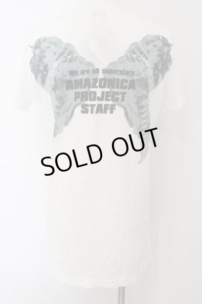 画像2: LGB / AMAZONICA PROJECT STAFF/HSC-BW/M Tシャツ【メンズ3】 3 ホワイト O-24-12-29-032-LG-ts-YM-ZT138 (2)