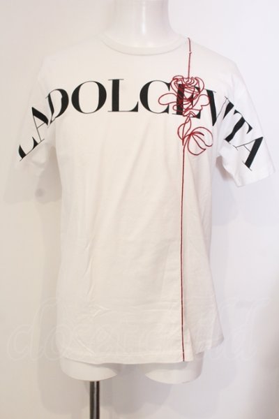 画像1: BUFFALO BOBS / FILO ROSSAフラワー刺繍Tシャツ 2-3 ホワイト O-25-05-25-002-BU-ts-YM-OS