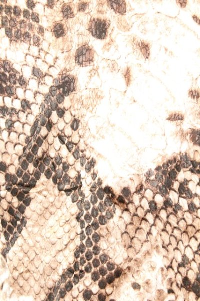 画像2: TORNADO MART / 半袖アニマルシャツ  ブラウン O-25-09-06-008-TO-sh-YM-ZT382 (2)