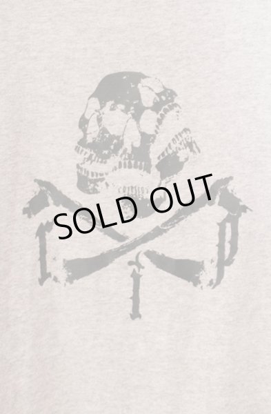 画像2: RIP DESIGN WORXX / スカルプリントBIG Tシャツ  グレー O-25-11-08-008-RI-ts-YM-ZT1111M (2)