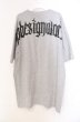 画像3: RIP DESIGN WORXX / スカルプリントBIG Tシャツ  グレー O-25-11-08-008-RI-ts-YM-OS (3)