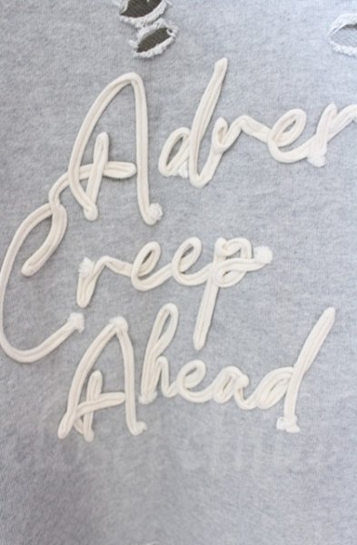 画像3: ADRER / デストロイスウェットトップス L グレー O-25-11-08-016-AD-to-YM-OS (3)