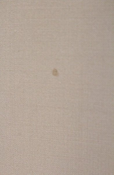 画像2: Zero by TORNADO MART / ブラヴォーレ2WAY×プライマリーポンチカットジャケット M キャメル O-26-03-26-037-Ze-ja-YM-OS (2)