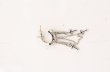 画像2: Justin Davis / DANGLING CROSS ピアス  シルバー O-26-05-02-029-Ju-ac-YM-OS (2)