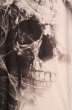 画像2: MIDAS / グラフィックスカルVネックTシャツ 1 ブラックｘホワイト O-26-06-16-025-MI-ts-YM-OS (2)
