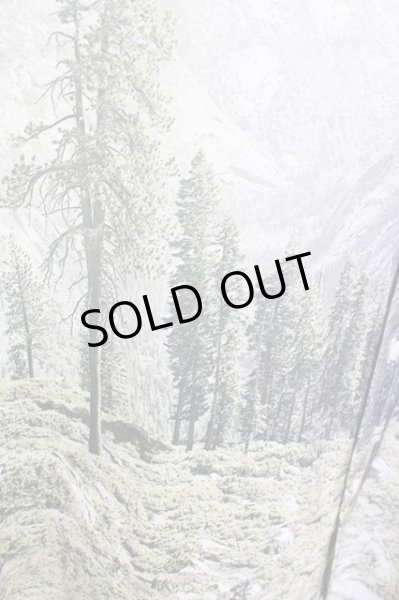 画像6: ZARA / 【タグ付き】paint the silence BIGシャツ EU L パターン T-23-12-19-012-ZA-sh-YM-ZT314 (6)