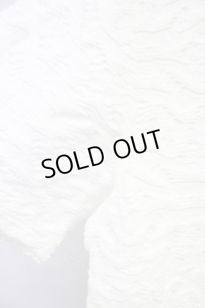 画像4: BUFFALO BOBS / GRAIN(グレイン） ウェーブタックTシャツ 2-3 ホワイト T-24-04-23-007-BU-ts-YM-ZT287 (4)