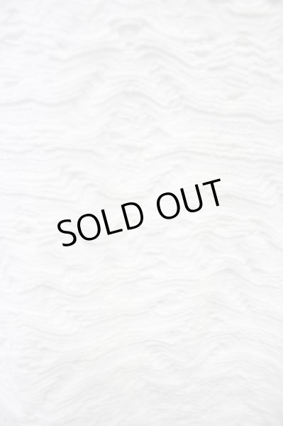 画像5: BUFFALO BOBS / GRAIN(グレイン） ウェーブタックTシャツ 2-3 ホワイト T-24-04-23-007-BU-ts-YM-ZT287 (5)