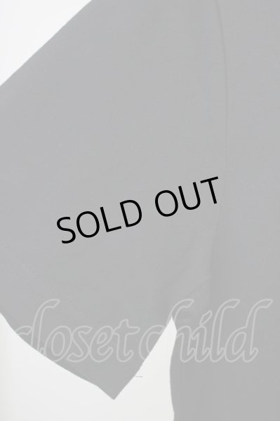 画像4: BLACK VARIA / スカルローズVネック Tシャツ M ブラック T-24-05-15-004-BL-ts-YM-ZT408 (4)