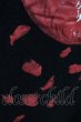 画像6: CIVARIZE / リップロングT’20SS 44 ブラック T-24-05-15-013-CI-ts-YM-ZT (6)