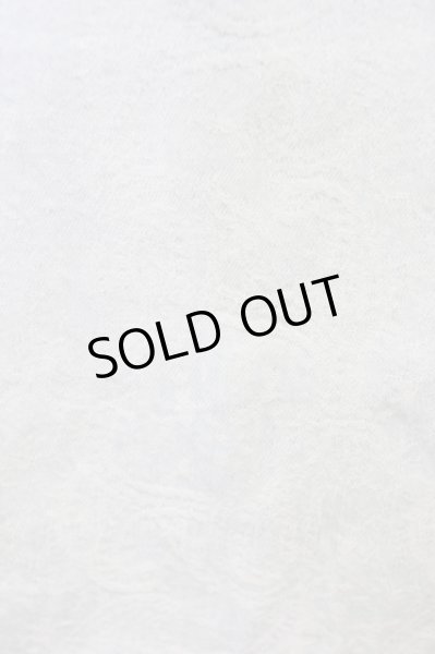 画像6: Moonage Devilment（清春） / ペイズリーエンボスデニムウエスタンシャツ 44 ライトブルー T-24-07-05-038-el-sh-YM-ZT417 (6)