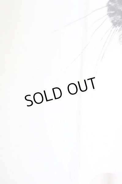 画像4: MARDI GRAS / アンディ君 Tシャツ M ホワイト T-24-07-05-004-MA-ts-YM-ZT406 (4)