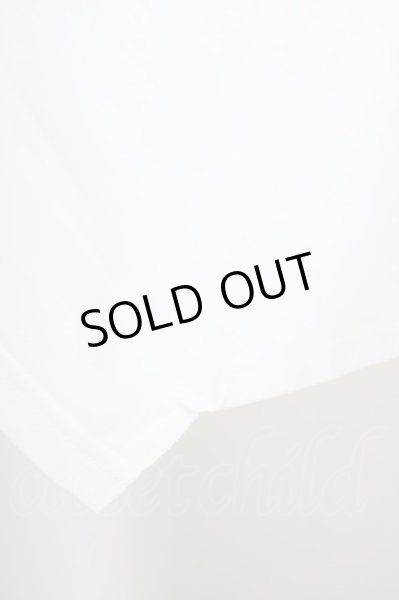 画像4: Moonage Devilment(清春) / 【タグ付き】ROSE PRINT Tシャツ 46 ホワイト T-24-07-05-006-Mo-ts-YM-ZT406 (4)