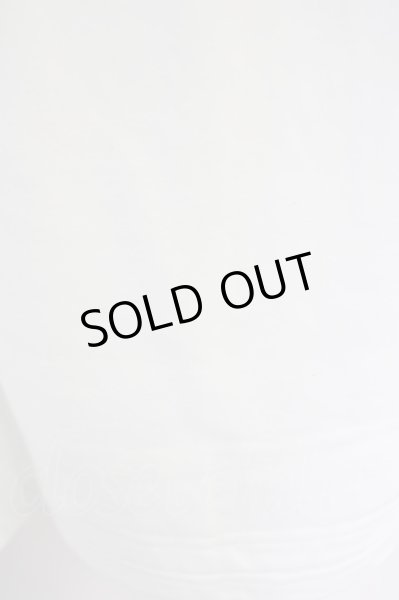 画像6: Moonage Devilment(清春) / 【タグ付き】ROSE PRINT Tシャツ 46 ホワイト T-24-07-05-006-Mo-ts-YM-ZT406 (6)