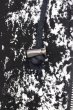 画像5: CIVARIZE / Foray 2nd 総柄デザイン5分袖’17SS 46 ブラックxホワイト T-24-08-02-027-CI-to-YM-ZT (5)