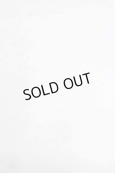 画像7: GALLIS ADDICTION / GA×MTV MILLION-DOLLER　Tシャツ 4 ホワイト T-24-08-02-006-GA-ts-YM-ZT315 (7)