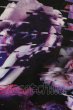 画像5: CIVARIZE / ×アンフィル限定コラボ BIG Tシャツ F ブラック T-24-08-02-011-CI-ts-YM-ZT315 (5)